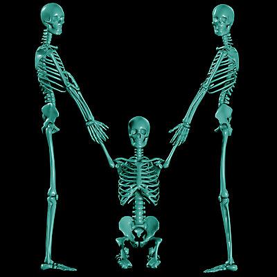 JPG 문자 기호 알파벳 영어 일러스트 의학 뼈 해골 사람없음 컴퓨터그래픽 치료 3D 휴먼 M 국내일러스트 그래픽 디지털합성 파일형식