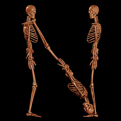 JPG 문자 기호 알파벳 영어 일러스트 의학 뼈 해골 사람없음 컴퓨터그래픽 치료 3D N 휴먼 국내일러스트 그래픽 디지털합성 파일형식