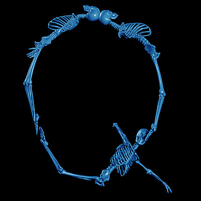 JPG 문자 기호 알파벳 영어 일러스트 의학 뼈 해골 사람없음 컴퓨터그래픽 치료 3D 휴먼 Q 국내일러스트 그래픽 디지털합성 파일형식