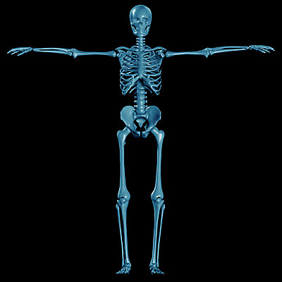 JPG 문자 기호 알파벳 의학 뼈 해골 사람없음 컴퓨터그래픽 치료 3D 휴먼 영어 그래픽 디지털합성 파일형식