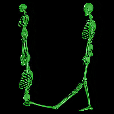 JPG 문자 기호 알파벳 영어 일러스트 의학 뼈 해골 사람없음 컴퓨터그래픽 치료 3D U 휴먼 국내일러스트 그래픽 디지털합성 파일형식
