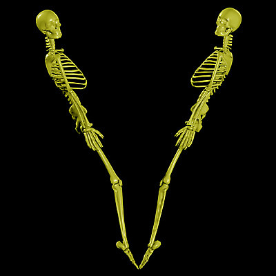 JPG 문자 기호 알파벳 영어 일러스트 의학 뼈 해골 사람없음 컴퓨터그래픽 치료 3D V 휴먼 국내일러스트 그래픽 디지털합성 파일형식