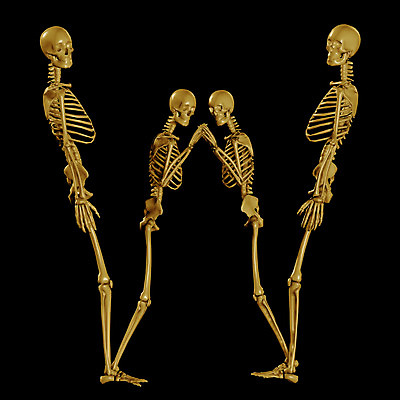 JPG 문자 기호 알파벳 영어 일러스트 의학 뼈 해골 사람없음 컴퓨터그래픽 치료 3D 휴먼 W 국내일러스트 그래픽 디지털합성 파일형식