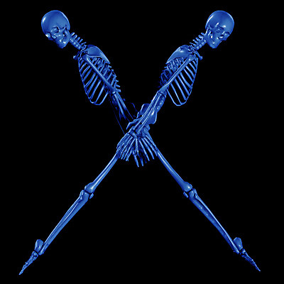 JPG 알파벳 영어 일러스트 뼈 해골 사람없음 컴퓨터그래픽 3D 장기 X 근골격기관 휴먼 국내일러스트 문자 신체 그래픽 장기_의학 디지털합성 파일형식