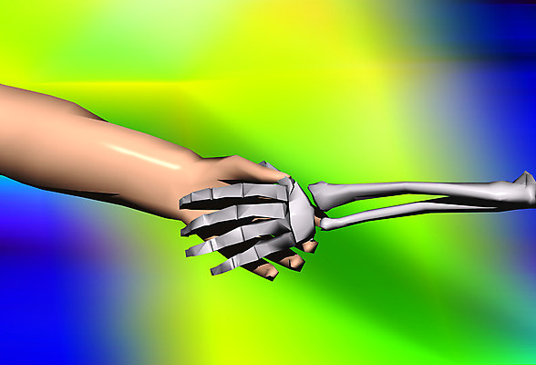 JPG 손 신체 일러스트 악수 뼈 해골 사람 컴퓨터그래픽 3D 장기 근골격기관 휴먼 국내일러스트 손짓 신체부위 그래픽 장기_의학 디지털합성 파일형식