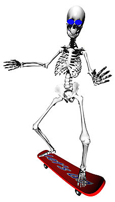 JPG 일러스트 뼈 해골 사람없음 컴퓨터그래픽 레포츠 3D 스케이트보드 장기 근골격기관 휴먼 국내일러스트 신체 레저 그래픽 보드_스포츠 장기_의학 디지털합성 파일형식