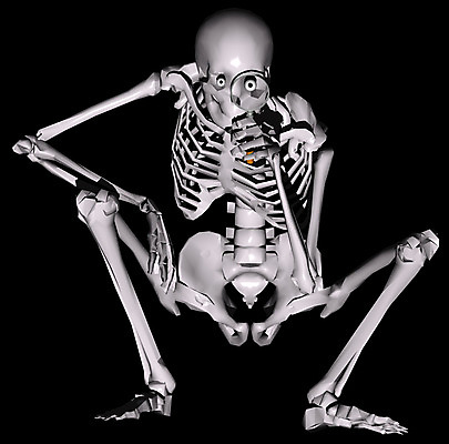 JPG 일러스트 돋보기 뼈 해골 아이디어 사람없음 컴퓨터그래픽 3D 벼 관찰 장기 근골격기관 휴먼 국내일러스트 컨셉 신체 모션 곡류 그래픽 장기_의학 디지털합성 파일형식