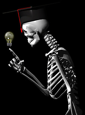JPG 일러스트 전구 뼈 해골 아이디어 사람없음 컴퓨터그래픽 3D 벼 장기 근골격기관 휴먼 국내일러스트 컨셉 신체 곡류 그래픽 장기_의학 디지털합성 파일형식