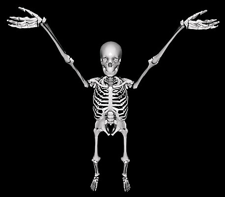 JPG 일러스트 뼈 해골 사람없음 컴퓨터그래픽 3D 장기 근골격기관 휴먼 국내일러스트 신체 그래픽 장기_의학 디지털합성 파일형식