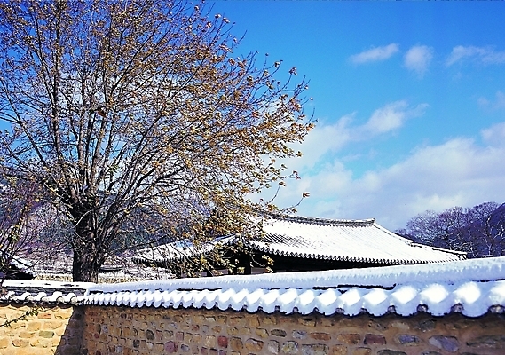 포토 주간 나무 식물 구름 한국문화 한국전통 전통 시설물 건축물 계절 건축 전통문화 고건축 설경 겨울 한국건축 하늘 지붕 산 한옥 돌담 기와 기와집 사람없음 야외 건물 담장 햇빛 쌓기 동양건축 눈 국내포토 자연요소 동양문화 문화 모션 날씨 한국 풍경 태양 돌_바위 파일형식 동양