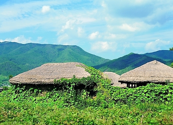 포토 주간 식물 구름 한국문화 한국전통 전통 시설물 건축물 건축 전통문화 고건축 한국건축 자연 하늘 지붕 산 한옥 주택 초가집 풍경 사람없음 야외 건물 동양건축 시골 풀 볏짚 덩굴 시골집 산등성이 산골 볏집 국내포토 자연요소 동양문화 문화 한국 짚 생태계 파일형식 동양