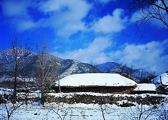 포토 주간 나무 식물 구름 한국문화 한국전통 전통 시설물 건축물 계절 건축 전통문화 고건축 설경 겨울 한국건축 자연 하늘 지붕 산 한옥 주택 돌담 초가집 풍경 사람없음 야외 건물 담장 쌓기 동양건축 시골 눈 시골집 산등성이 앙상함 국내포토 자연요소 동양문화 문화 모션 날씨 한국 돌_바위 생태계 파일형식 동양