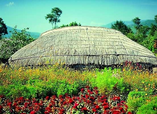 포토 주간 나무 식물 한국문화 한국전통 전통 시설물 건축물 건축 꽃 전통문화 고건축 꽃밭 한국건축 자연 하늘 지붕 산 한옥 주택 초가집 풍경 사람없음 야외 건물 동양건축 들꽃 시골 볏짚 산등성이 산골 국내포토 자연요소 동양문화 문화 한국 짚 생태계 파일형식 동양