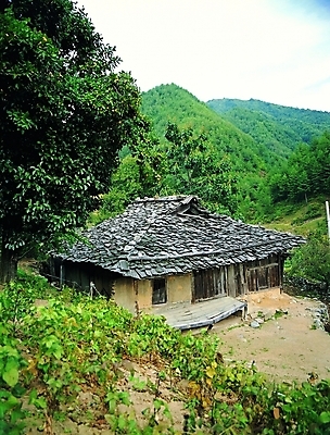 포토 주간 나무 식물 한국문화 한국전통 전통 시설물 건축물 건축 전통문화 고건축 한국건축 자연 하늘 지붕 산 한옥 주택 초가집 풍경 사람없음 야외 건물 정원 동양건축 마루 풀 잡초 산등성이 산골 국내포토 자연요소 동양문화 문화 바닥 한국 생태계 파일형식 동양