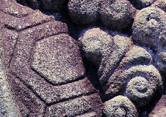 포토 한국문화 한국전통 전통 문양 전통문화 조각 무늬 석조 그림자 사람없음 전통무늬 전통문양 돌_바위 머리빗 조각_조소 국내포토 동양문화 문화 한국 미용용품 조소 파일형식