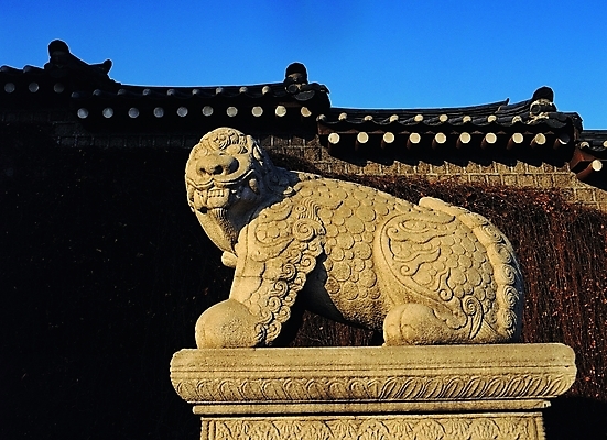 포토 JPG 주간 한국문화 한국전통 전통 시설물 건축 전통문화 문화 조각 고건축 한국건축 돌담 기와 형상 석조 사람없음 야외 담장 햇빛 동상 조각상 전통문양 동양건축 돌_바위 덩굴 그늘 작품 석상 동물모양 동물문양 해태 조각_조소 국내포토 자연요소 모양 식물 동물 동양문화 문양 건축물 한국 미술 태양 조형물 기념물 조소 파일형식 동양