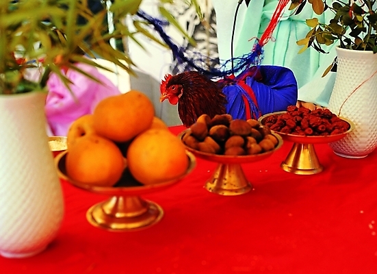 포토 동물 한마리 한국문화 한국전통 전통 문양 접시 전통문화 결혼 과일 조류 결혼식 사람없음 꽃병 가축 닭 배 밤 상차림 전통의례 전통혼례 대추 관혼상제 국내포토 1 동양문화 식기 꽃 문화 한국 이벤트 견과류 파일형식