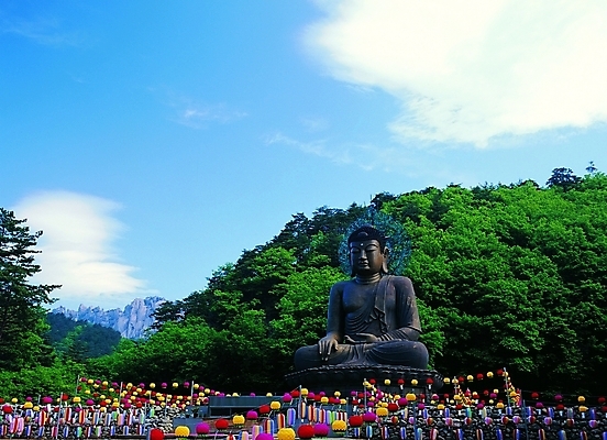 포토 JPG 주간 나무 식물 구름 한국문화 한국전통 전통 종교 전통문화 문화 조각 불교 종교용품 하늘 산 석조 사람없음 야외 문화재 부처님오신날 시골 사찰 숲 불상 불교용품 부처 연등 지역 속초 신흥사 신흥사청동대불 지명 조각_조소 국내포토 자연요소 동양문화 기념일 종교건축 한국 등불 강원도 조소 파일형식