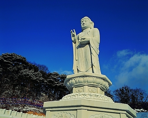 포토 JPG 주간 나무 식물 한국문화 한국전통 전통 종교 전통문화 문화 로우앵글 조각 불교 종교용품 하늘 산 석조 손짓 사람없음 야외 조각상 문화재 시골 불상 불교용품 작품 부처 지역 대구 동화사 동화사통일대불 지명 조각_조소 대구시 국내포토 자연요소 동양문화 뷰포인트 모션 한국 어류 미술 조형물 조소 파일형식