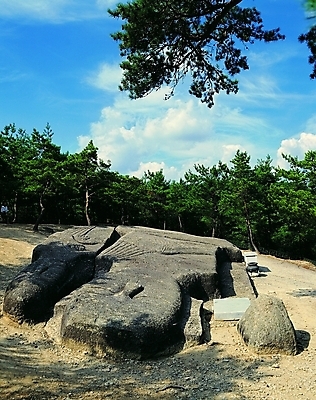 포토 JPG 주간 나무 식물 한국문화 한국전통 전통 종교 전통문화 문화 조각 불교 종교용품 하늘 석조 그림자 사람없음 야외 햇빛 조각상 문화재 돌_바위 시골 사찰 사원 숲속 숲 불상 불교용품 작품 지역 고려 운주사 화순 화순운주사와형석조여래불 지명 조각_조소 국내포토 자연요소 동양문화 비즈니스 종교건축 한국 미술 태양 조형물 역사 전라남도 조소 파일형식