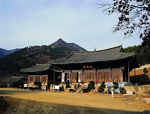 포토 주간 나무 식물 한국문화 한국전통 전통 시설물 건축물 건축 종교 전통문화 고건축 불교 한국건축 종교건축 산 한옥 기와 그림자 사람없음 야외 건물 햇빛 정원 동양건축 문화재 시골 사찰 그늘 조경 지역 해남 표충사 지명 국내포토 자연요소 동양문화 문화 한국 태양 전라남도 밀양 파일형식 동양