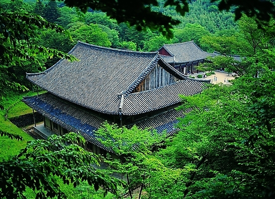 포토 주간 나무 식물 한국문화 한국전통 전통 시설물 건축물 건축 종교 전통문화 고건축 불교 한국건축 종교건축 지붕 기와 여러명 야외 건물 하이앵글 여행객 동양건축 문화재 시골 사찰 숲속 숲 신도 지역 구례 지리산 화엄사 지명 국내포토 자연요소 동양문화 문화 뷰포인트 다수 산 한국 사람 전라남도 산청 파일형식 동양