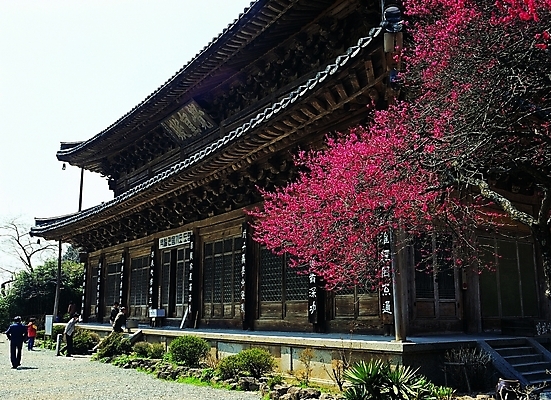 포토 주간 나무 식물 한국문화 한국전통 시설물 건축물 계절 건축 종교 문화 단풍 고건축 불교 한국건축 종교건축 단풍나무 한옥 기와 여러명 야외 건물 동양건축 문화재 가을 시골 사찰 신도 단청 지역 구례 지리산 화엄사 지명 국내포토 자연요소 동양문화 전통 다수 잎 산 한국 사람 전라남도 산청 파일형식 동양