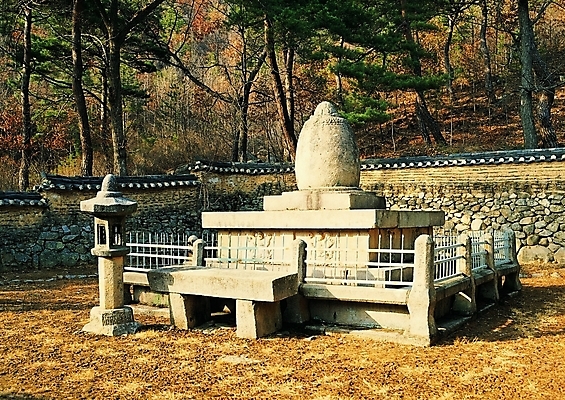 포토 주간 나무 식물 한국문화 한국전통 전통 시설물 건축물 건축 종교 전통문화 문화 외국문화 고건축 불교 유적 한국건축 종교건축 유적지 유물 돌담 석조 그림자 사람없음 야외 울타리 담장 햇빛 동양건축 문화재 돌_바위 시골 사찰 사원 석탑 숲 지역 석등 대구 사리탑 제단 지명 대구시 국내포토 자연요소 동양문화 비즈니스 한국 어류 태양 탑 파일형식 동양
