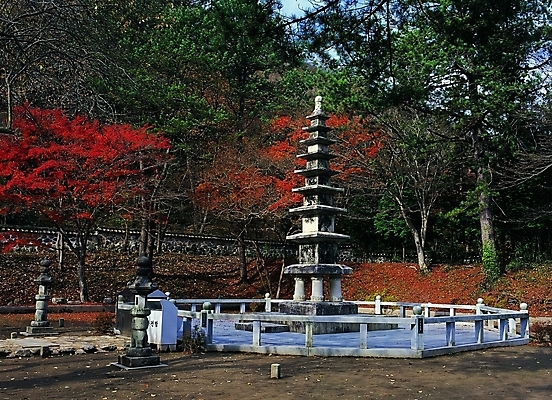 포토 주간 나무 식물 한국문화 한국전통 시설물 건축물 계절 건축 종교 문화 외국문화 단풍 고건축 불교 유적 한국건축 종교건축 유적지 단풍나무 유물 돌담 석조 그림자 사람없음 야외 울타리 담장 햇빛 탑 동양건축 문화재 가을 돌_바위 시골 사찰 석탑 지역 백양사팔층석탑 장성 장성백양사 지명 국내포토 자연요소 동양문화 전통 잎 한국 태양 전라남도 파일형식 동양