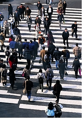 포토 주간 여자 남자 도로 길 선 줄 서기 사람 여러명 야외 경제 하이앵글 걷기 차도 도시 보행자 횡단보도 군중 현대문화 건너기 도시인 국내포토 자연요소 문화 뷰포인트 다수 교통시설 모션 보행로 파일형식