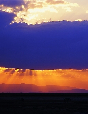 포토 주간 구름 백그라운드 자연 하늘 산 풍경 사람없음 야외 빛 태양 일출 노을 일몰 빛무리 국내포토 자연요소 생태계 파일형식