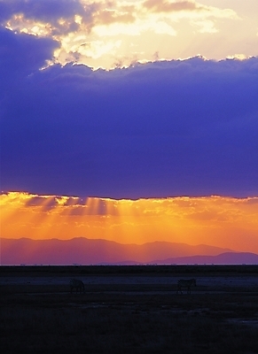 포토 구름 백그라운드 자연 하늘 산 풍경 사람없음 야외 빛 일출 노을 일몰 저녁 빛무리 국내포토 자연요소 야간 생태계 파일형식