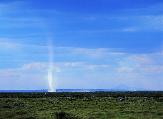 포토 주간 동물 구름 한마리 백그라운드 포유류 자연 하늘 산 풍경 초원 사람없음 야외 파란색 회오리 황무지 먹구름 얼룩말 토네이도 회오리바람 국내포토 자연요소 1 컬러 자연현상 바람 말_동물 생태계 파일형식 구름_자연