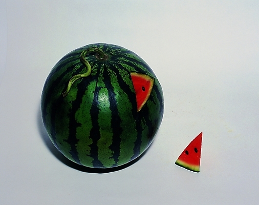 포토 식물 열매 컬러 조각 과일 자연 여름음식 수박 사람없음 빨간색 초록색 농작물 줄무늬 한조각 수박씨 제철음식 제철과일 국내포토 1 음식 무늬 농업 씨앗 생태계 제철 파일형식 여름_계절