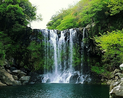 포토 주간 나무 식물 백그라운드 자연 풍경 사람없음 야외 물 계곡 폭포 돌_바위 바위 급류 숲 웅덩이 국내포토 자연요소 생태계 파일형식