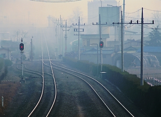 포토 주간 길 백그라운드 자연 풍경 빌딩 사람없음 야외 건물 도시풍경 기찻길 전선 안개 도시 신호등 전봇대 신호 적신호 뿌연 철도의날 국내포토 자연요소 건축물 공공시설 날씨 생태계 파일형식 법정기념일