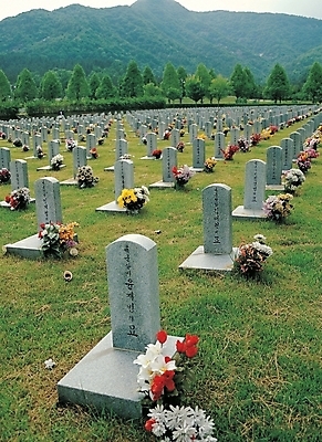 포토 JPG 주간 나무 식물 한국문화 한국전통 시설물 건축 꽃 전통문화 꽃다발 백그라운드 자연 산 풍경 잔디 사람없음 야외 화환 무덤 묘 비석 제사 국립묘지 헌화 국내포토 자연요소 동양문화 전통 건축물 문화 한국 묘지 전통의례 생태계 추모 파일형식