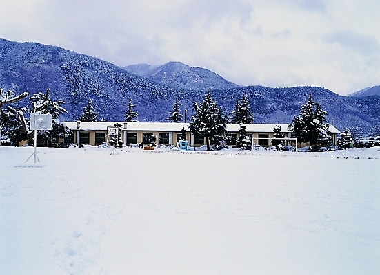 포토 주간 나무 식물 시설물 계절 현대건축 건축 백그라운드 겨울 창문 학교 자연 산 풍경 사람없음 야외 건물 쌓기 운동장 눈 산등성이 농구대 축구골대 산골 국내포토 자연요소 건축물 교육 스포츠시설 모션 날씨 축구 공간 골대 생태계 파일형식