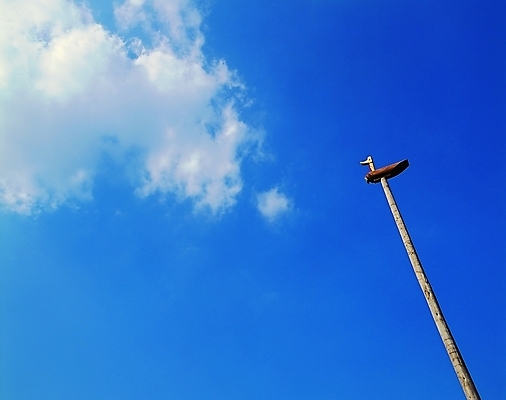 포토 주간 나무 구름 한국문화 한국전통 전통문화 로우앵글 컬러 백그라운드 자연 하늘 풍경 사람없음 야외 목재 파란색 조형물 조각상 시골 기둥 무속 솟대 민간신앙 국내포토 자연요소 식물 동양문화 전통 건축 종교 문화 뷰포인트 재료 한국 미술 생태계 파일형식