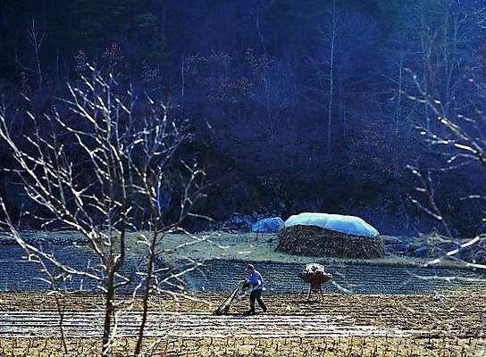 포토 JPG 주간 전신 나무 식물 직업 모자 한국문화 한국전통 남자 전통문화 밭 농업 자연 노동자 산 한명 서기 들기 사람 풍경 성인 야외 농사 시골 작업실 농부 땅 아저씨 지게 밭두렁 남자만 남자한명만 성인남자만 성인만 국내포토 자연요소 1 동양문화 전통 잡화 산업 문화 모션 한국 생태계 파일형식