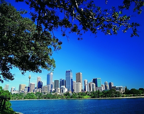 포토 주간 나무 식물 해외풍경 해외 나라 바다 외국문화 백그라운드 자연 하늘 풍경 빌딩 사람없음 야외 건물 도시풍경 고층빌딩 도시 오세아니아 호주 시드니 지명 국내포토 자연요소 건축물 문화 생태계 파일형식