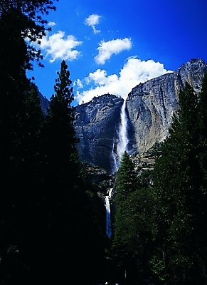 포토 주간 나무 식물 구름 해외풍경 해외 나라 외국문화 백그라운드 북아메리카 자연 하늘 국립공원 아메리카 풍경 사람없음 야외 관광지 햇빛 미국 절벽 폭포 돌_바위 바위 숲 그늘 캘리포니아 전나무 어메리카 요세미티국립공원 지명 국내포토 자연요소 공원 문화 여행 태양 대륙 생태계 파일형식
