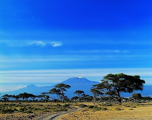 포토 주간 나무 식물 구름 해외풍경 해외 나라 길 외국문화 백그라운드 아프리카 자연 하늘 산 풍경 초원 사람없음 야외 관광지 숲 화산 탄자니아 화산지대 지명 국내포토 자연요소 문화 여행 생태계 파일형식