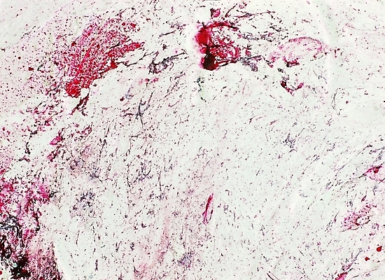 포토 컬러 백그라운드 무늬 패턴 붓터치 회화 미술 근접촬영 사람없음 빨간색 페인트 흰색 색칠 페인트칠 그림 질감 번짐 덧칠 유화 유화물감 국내포토 뷰포인트 페인팅 문화예술 말하기 물감 파일형식 효과