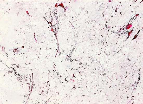 포토 컬러 백그라운드 무늬 패턴 붓터치 회화 미술 근접촬영 사람없음 페인트 흰색 색칠 페인트칠 그림 질감 번짐 덧칠 유화 유화물감 국내포토 뷰포인트 페인팅 문화예술 말하기 물감 파일형식 효과