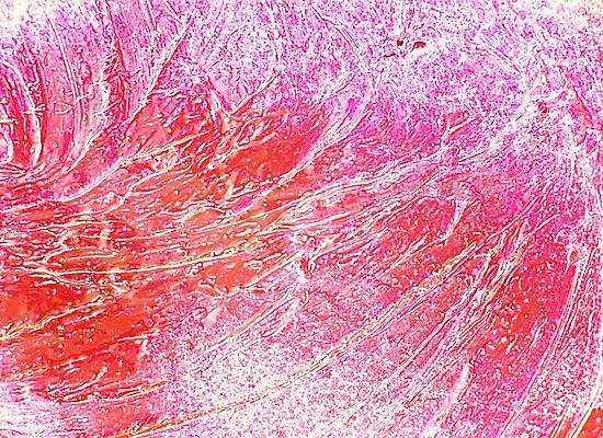 포토 컬러 백그라운드 무늬 패턴 붓터치 회화 미술 근접촬영 사람없음 빨간색 물감 색칠 그림 질감 덧칠 유화 유화물감 국내포토 뷰포인트 문화예술 말하기 미술도구 파일형식