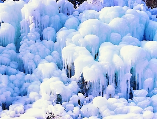 포토 주간 계절 컬러 백그라운드 겨울 자연 사람없음 야외 햇빛 얼음 흰색 고드름 얼음꽃 국내포토 자연요소 태양 생태계 파일형식