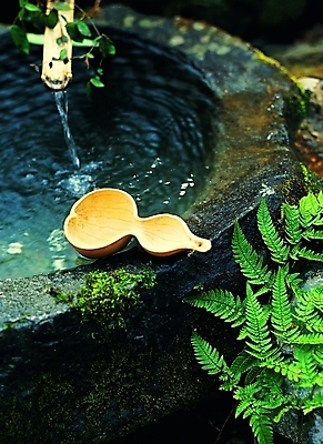 포토 식물 시설물 건축 백그라운드 나뭇잎 이끼 사람없음 야외 물 시골 풀 잡초 샘물 우물 약수터 조롱박 국내포토 자연요소 건축물 잎 파일형식