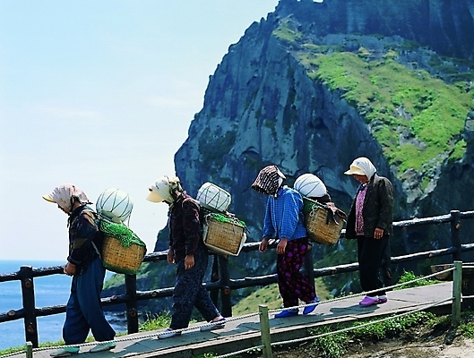 포토 주간 전신 모자 여자 밧줄 줄 바다 하늘 노동자 그림자 어업 이끼 사람 여러명 야외 옆모습 울타리 걷기 절벽 짐 돌_바위 바위 끈 작업실 어촌 매기 장사 등짐 여자만 국내포토 자연요소 직업 잡화 산업 뷰포인트 다수 모션 담장 시골 상업 파일형식