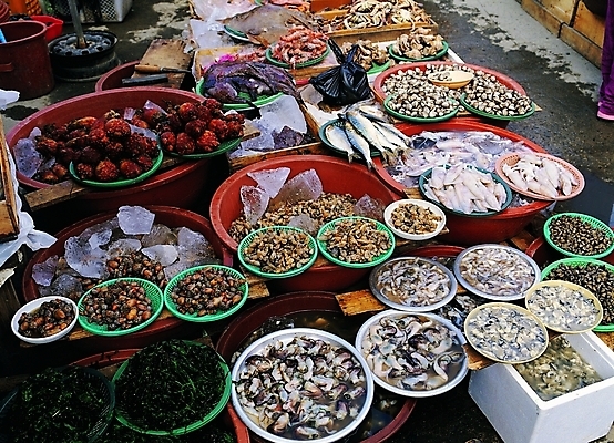 포토 JPG 그릇 백그라운드 비닐봉투 새우 어류 어업 풍경 사람없음 야외 판매 얼음 바다동물 꽃게 게 굴 도시 소라 해산물 오징어 담기 장사 수산시장 고무대야 멍게 미더덕 스티로폼박스 국내포토 자연요소 동물 식기 산업 바다 모션 어패류 봉투 연체동물 갑각류 상자 수중동물 시장 상업 대야 파일형식